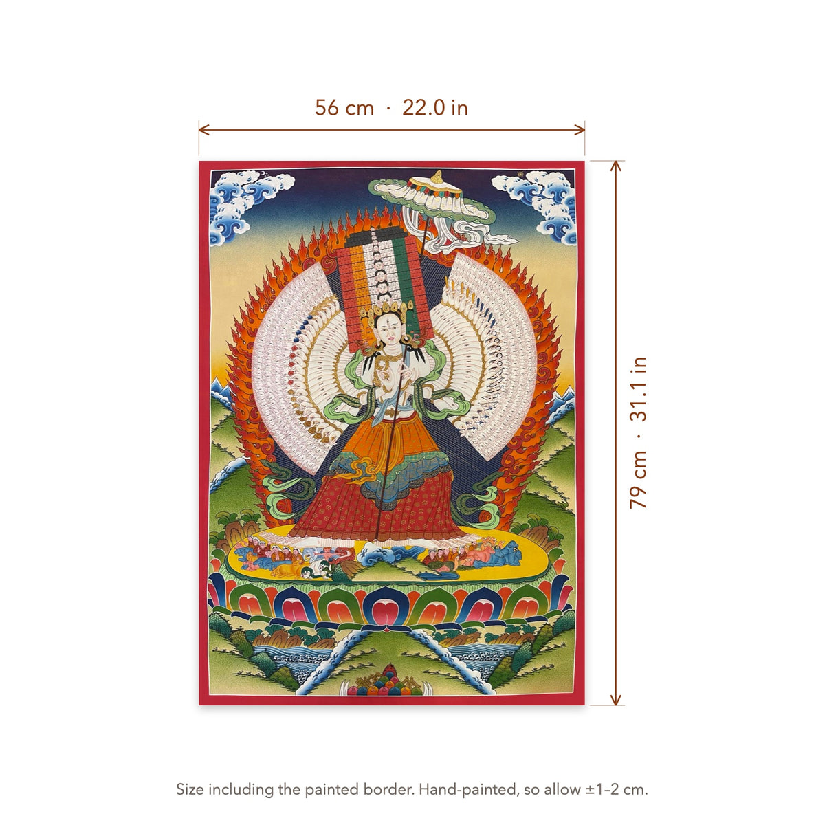 Size diagram: 56 × 79 cm (22.0 × 31.1 in), including the painted border