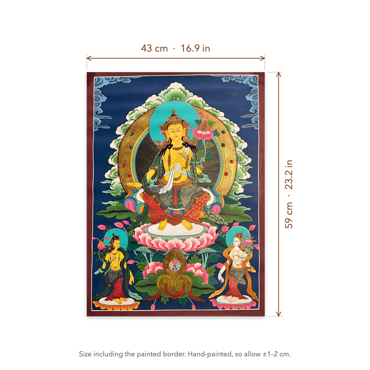 Size diagram: 43 × 59 cm (16.9 × 23.2 in), including the painted border