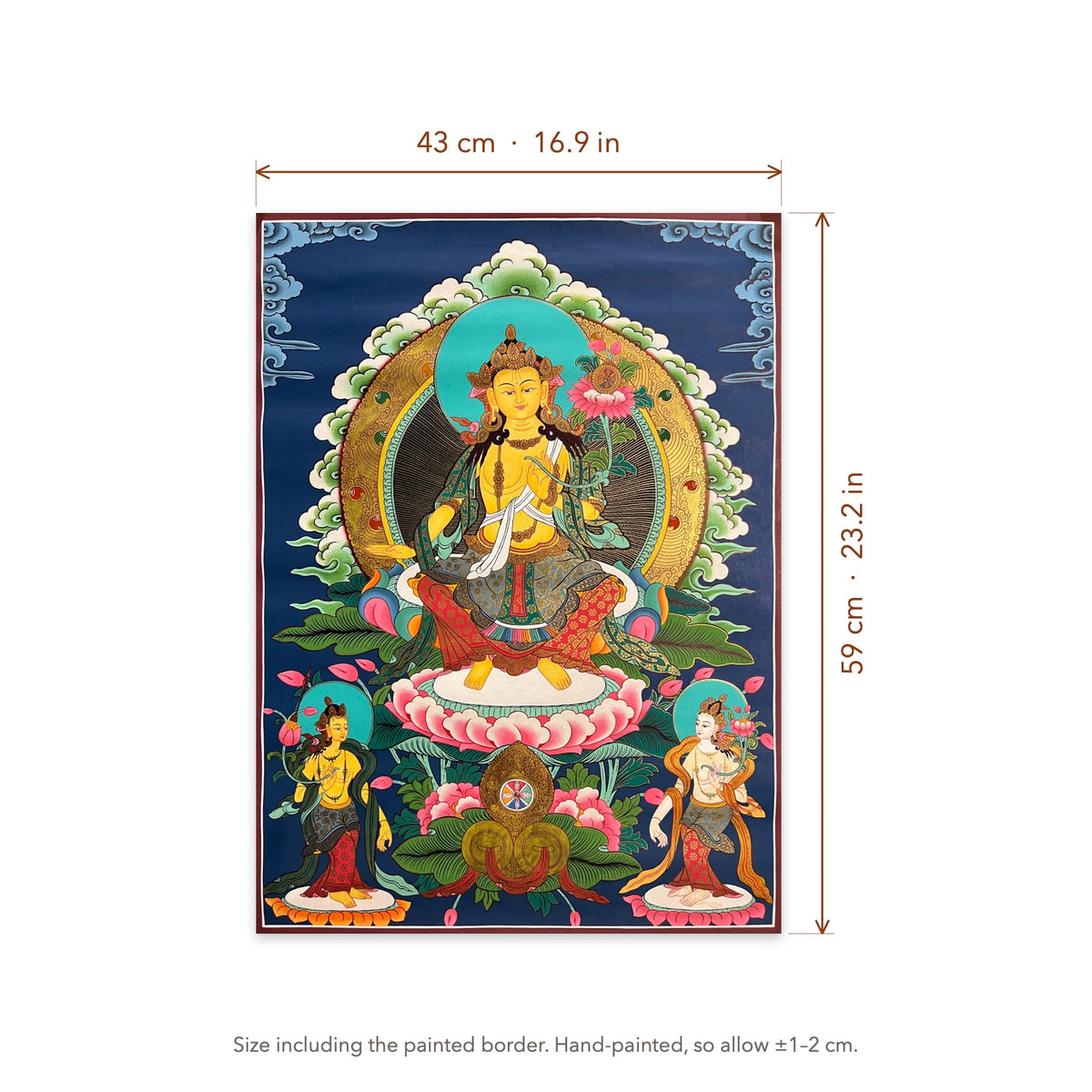 Size diagram: 43 × 59 cm (16.9 × 23.2 in), including the painted border