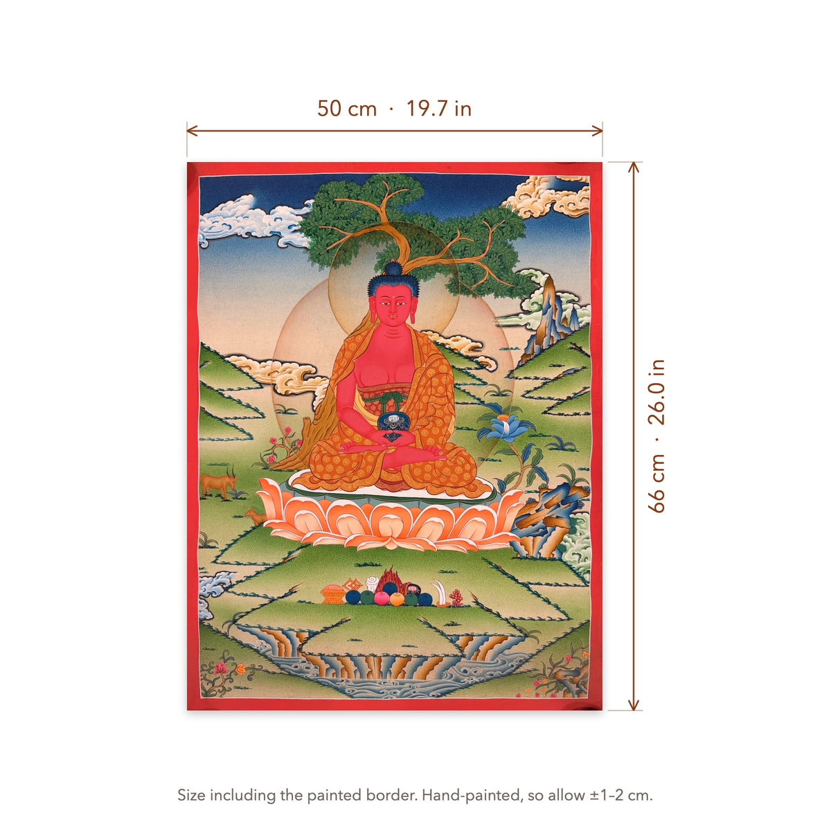 Size diagram: 50 × 66 cm (19.7 × 26.0 in), including the painted border