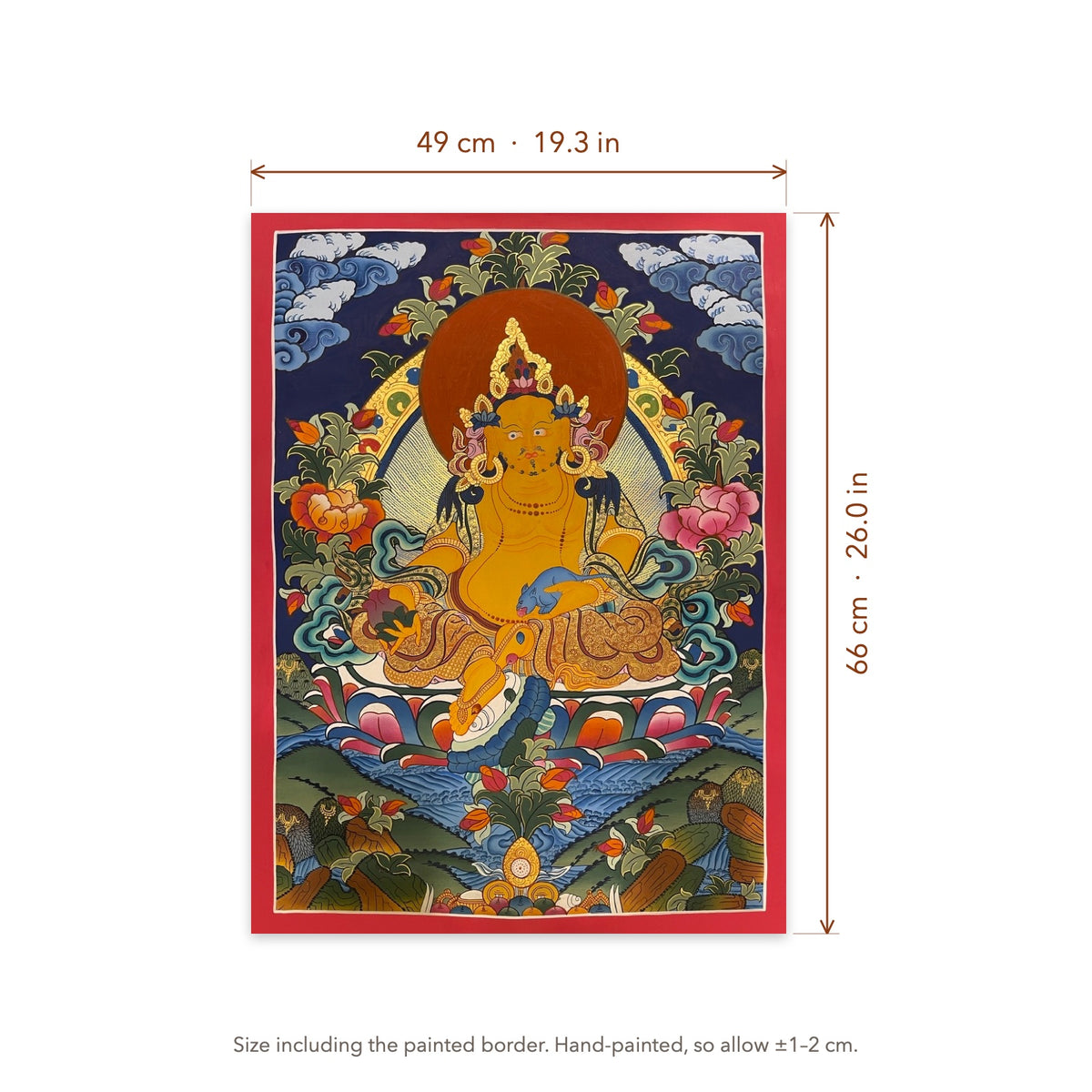 Size diagram: 49 × 66 cm (19.3 × 26.0 in), including the painted border
