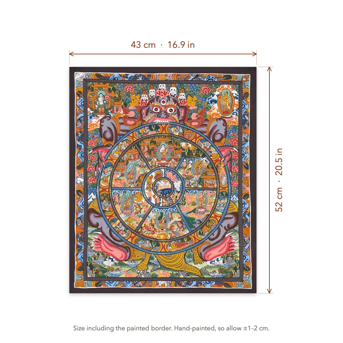 Size diagram: 43 × 52 cm (16.9 × 20.5 in), including the painted border